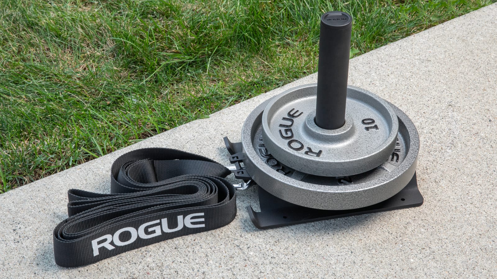 Rogue echo dog sled plastic kit sales